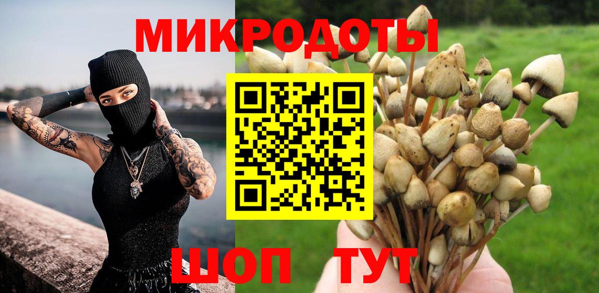 Унеча  Псилоцибиновые грибы Psilocybe  Вход с VPN 